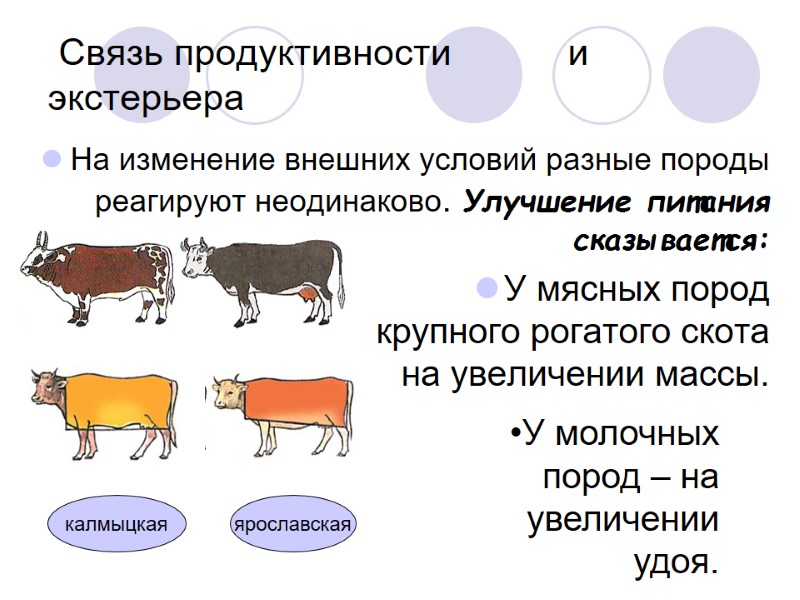 Связь продуктивности           и экстерьера